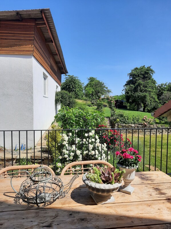 Terras