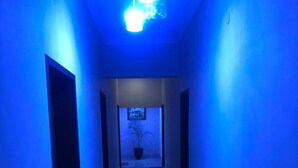 A hallway with blue lighting, a potted plant, and a framed picture on the wall. - Bright Hotel (Lahore)
