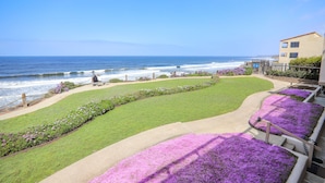 Une vue sur la côte, avec une zone herbeuse, des fleurs violettes et un bâtiment doté d’un balcon donnant sur l’océan.