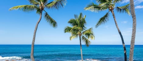 Ubicación a pie de playa