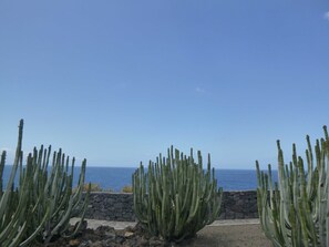 Unclassified image, 5 of 20, button - Paseo del Mar, Spanien (Puerto de Naos)