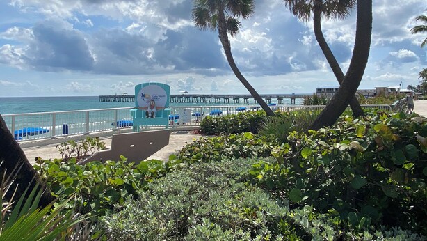 A beach view with a palm tree, a sign for Lake Worth Beach, and a pier in the background. - Banana Beach Cottage (Lake Worth)