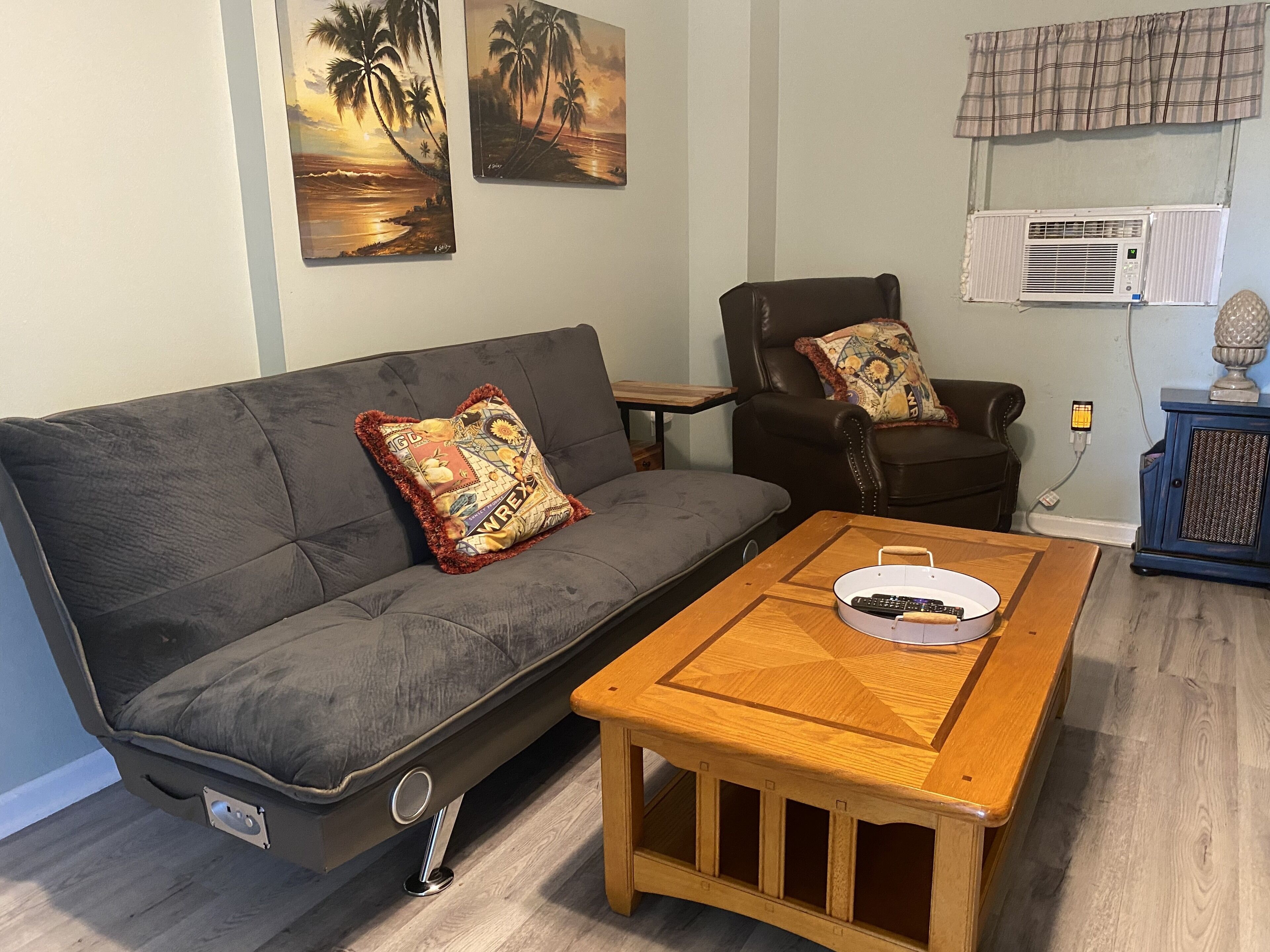 Smart TV, fireplace, DVD player, books