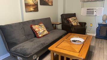 Smart TV, fireplace, DVD player, books