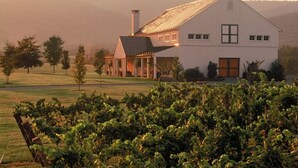 A large white building with a sloped roof, surrounded by a vineyard, and set against a backdrop of hills. - Afton Escape-New Arcade, Winery Brewery EV-Charger (Afton)