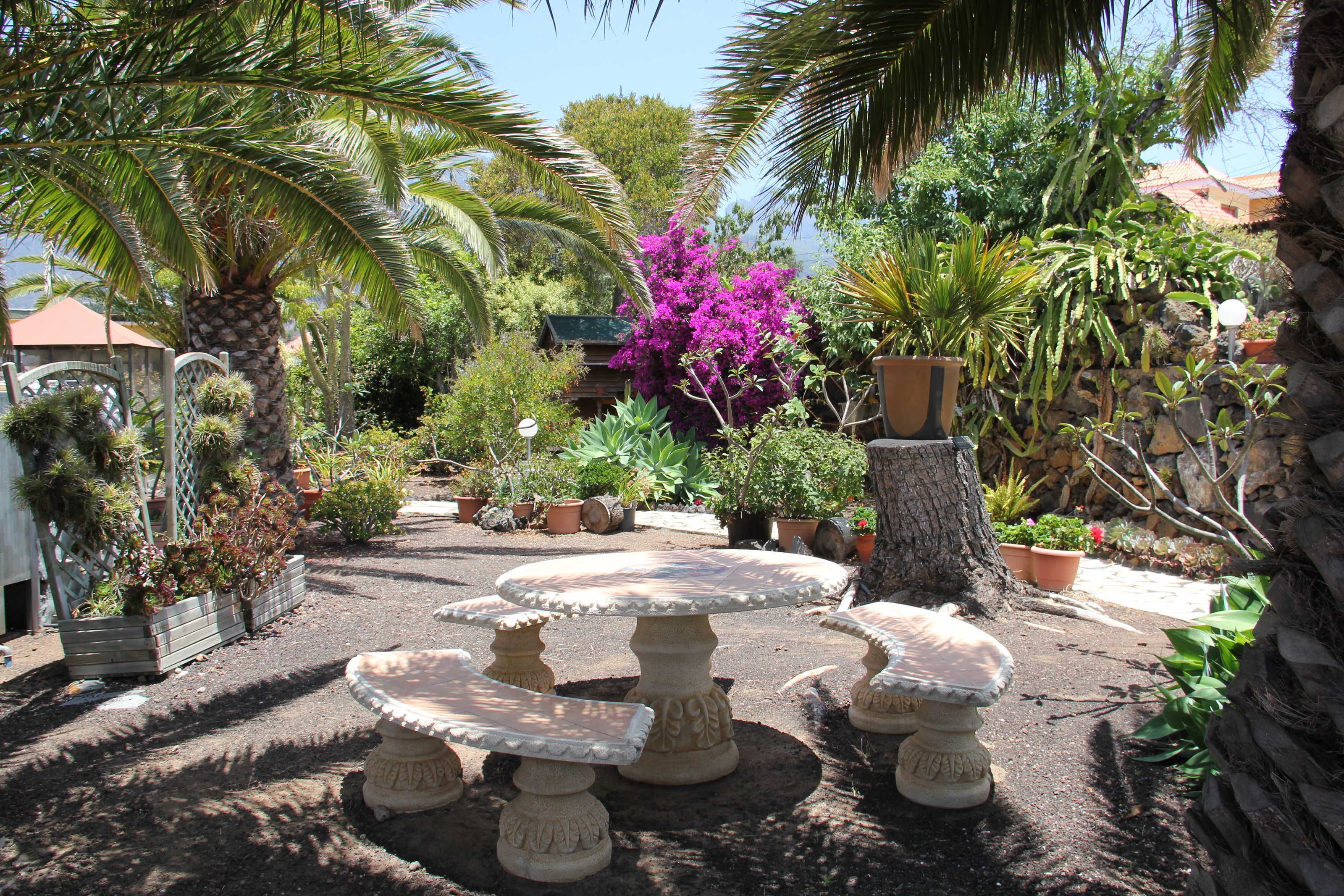 Ein Garten mit einem runden Steintisch, umgeben von Stühlen, verschiedenen Kübelpflanzen und einer Palme.