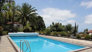 Une piscine rectangulaire avec un escalier en métal sur le côté gauche, entourée de carreaux de pierre et d’une végétation luxuriante comprenant des palmiers et des cactus.