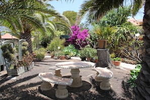 A garden with a circular stone table surrounded by chairs, potted plants, and a palm tree.