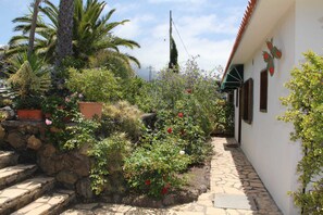 Un jardín con diversas plantas y flores, un sendero de piedra y un edificio con techo de tejas y ventanas.