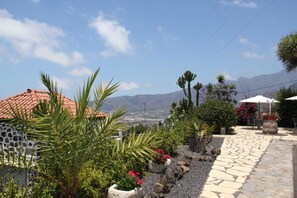 A stone pathway leading to outdoor seating, surrounded by various plants and a mountain view.