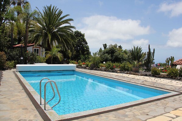 A rectangular swimming pool with a metal ladder on the left, surrounded by stone tiles and lush greenery including palm trees and cacti.