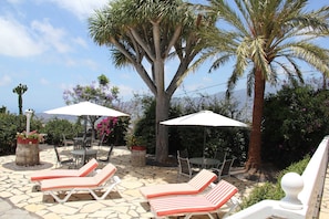 Un patio al aire libre con sillones de descanso, sombrillas y una palmera.