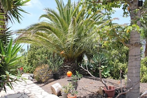 A garden with various potted plants and a stone pathway. - La Gomera - Jardin de Aridane (El Paso)