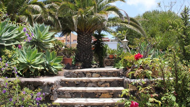 Eine steinerne Treppe führt zu einer von verschiedenen Pflanzen und Blumen umgebenen Palme.