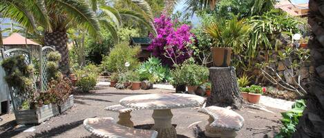 A garden with a circular stone table surrounded by chairs, various potted plants, and a palm tree.