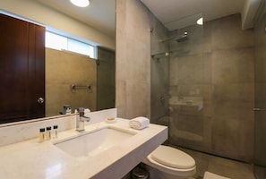Shower, hair dryer, towels