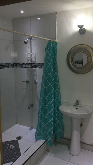 シャワー、ビデ、石鹸、トイレットペーパー