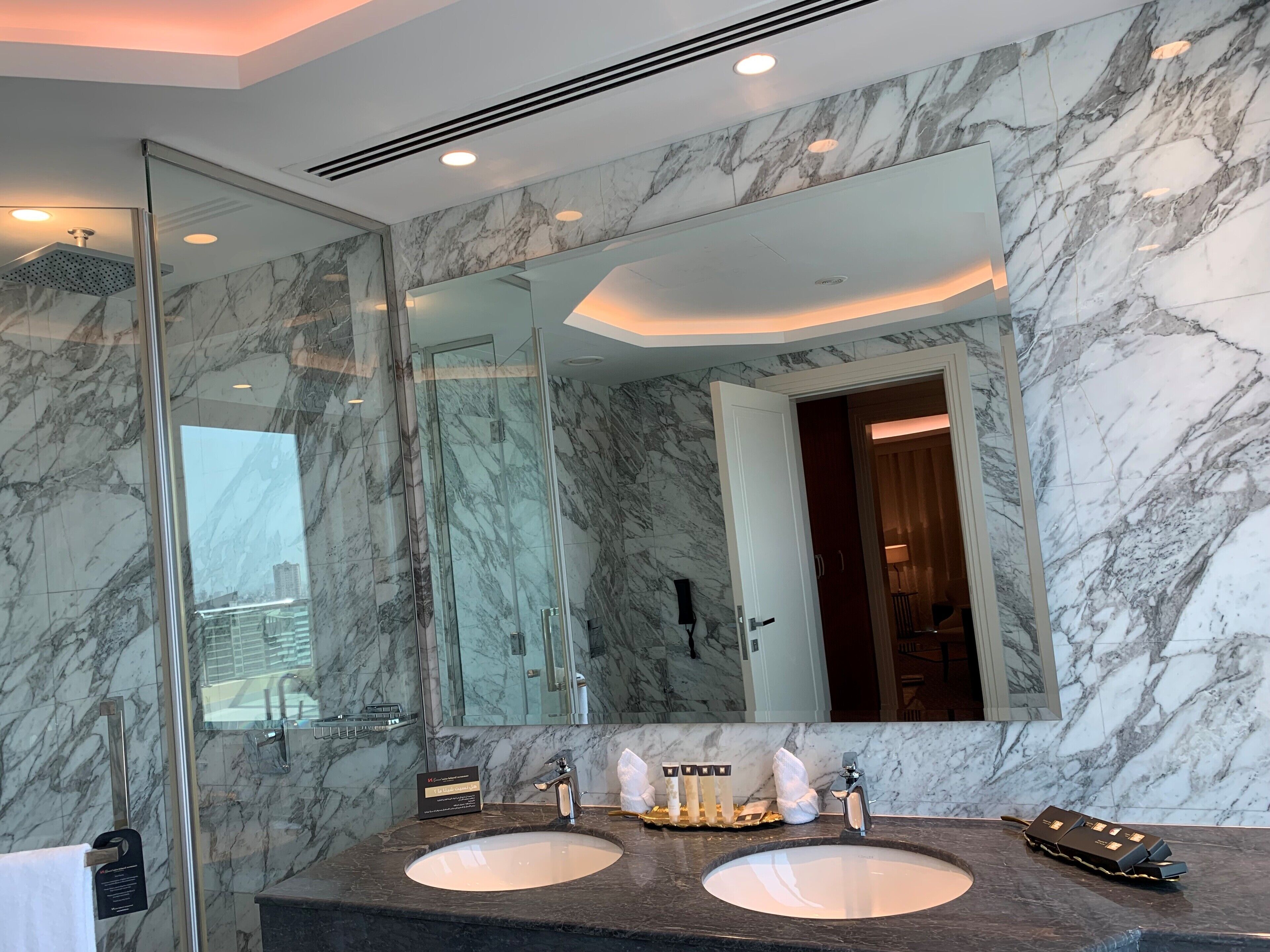 ambassador suite | view from room