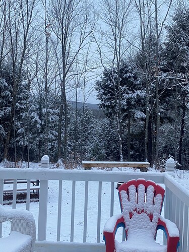 Full House on secluded road, 4 bed 2 bath, fully furnished basement w/bar + beds