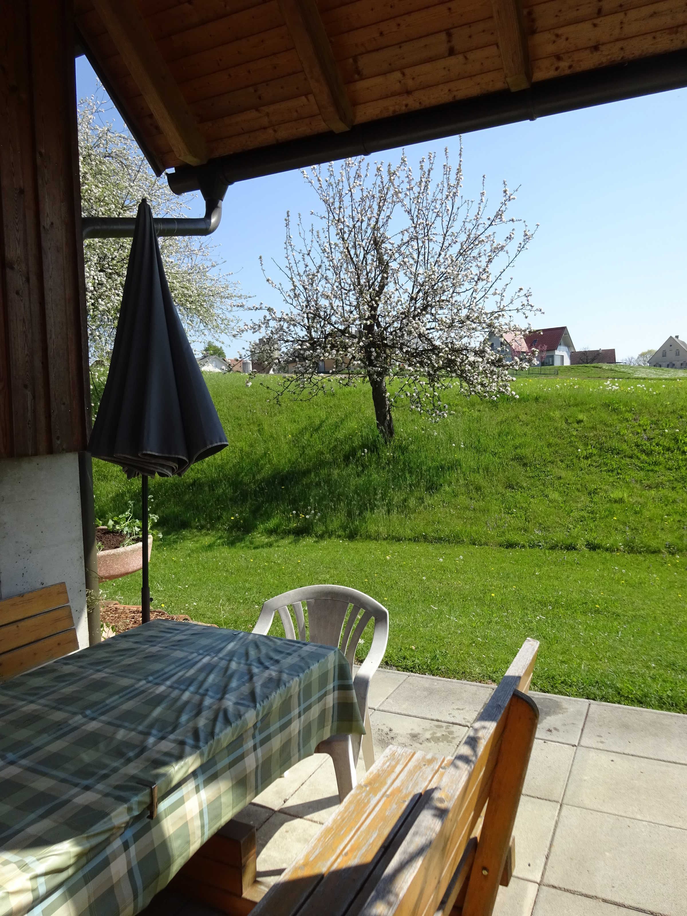 Un espace extérieur abrité, aménagé avec une table et des chaises, un banc en bois, et offrant une vue sur un champ verdoyant avec un arbre.