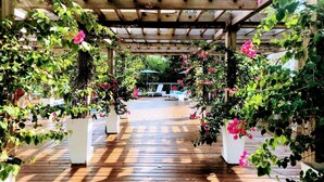 Terrace/patio - Orchid Estates (Naples)