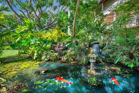 Property grounds. Waikomo Stream Villas 122 Fish Pond View, New AC, Walk to Beach and Shopping!