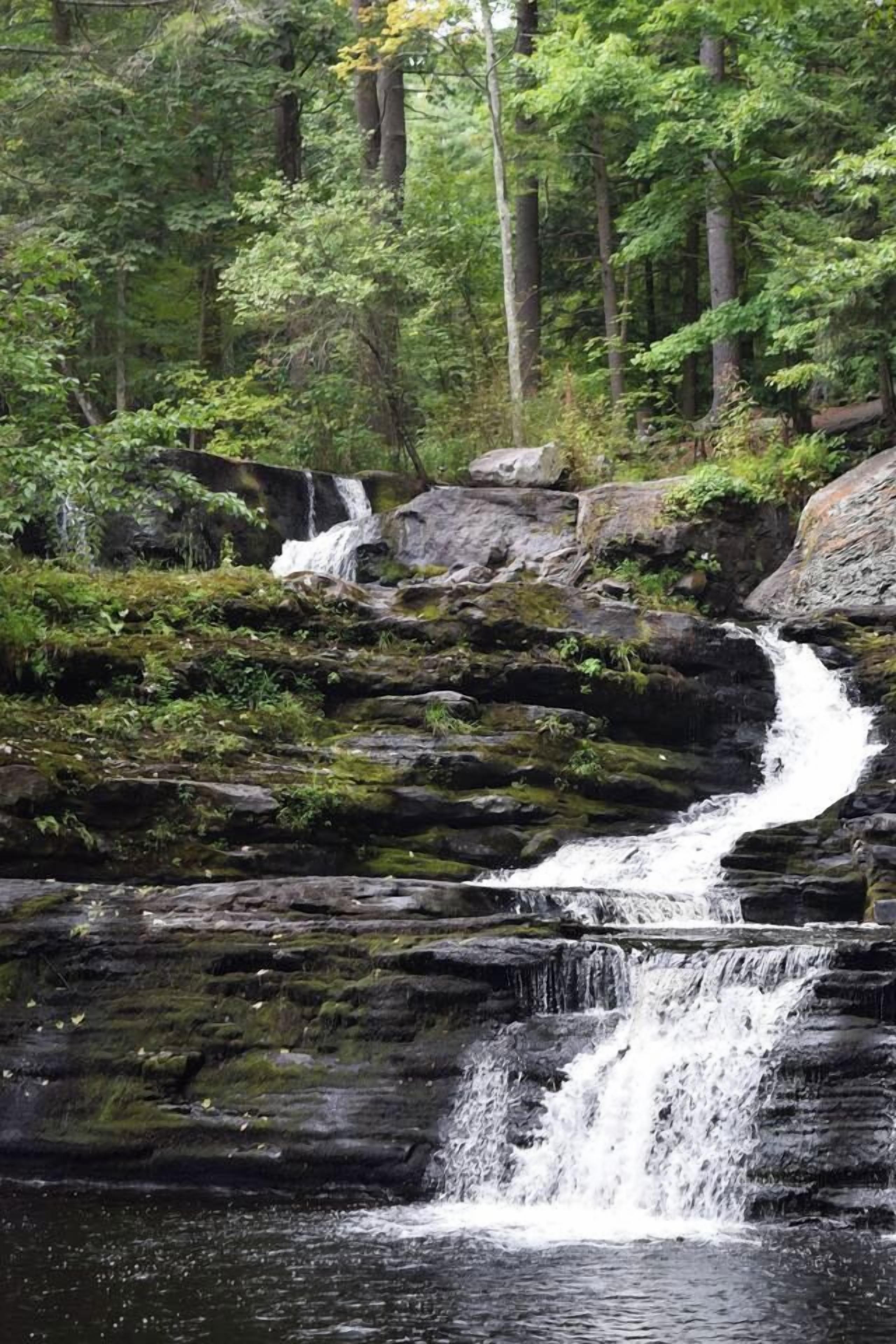 Ein natürlicher Wasserfall in bewaldeter Landschaft mit felsigem Gelände und dichtem Grün.