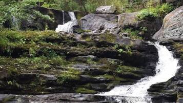 Ein natürlicher Wasserfall in bewaldeter Landschaft mit felsigem Gelände und dichtem Grün.
