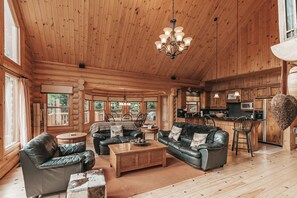 Fernseher, Kamin, DVD-Player, Arbeitsbereiche