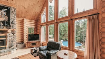 Télévision, cheminée, lecteur de DVD, espaces bureaux