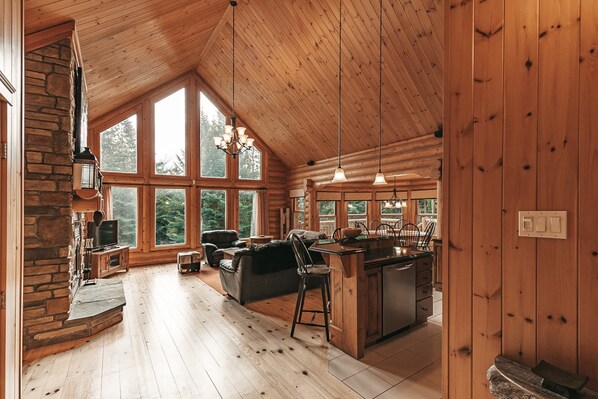 Fernseher, Kamin, DVD-Player, Arbeitsbereiche