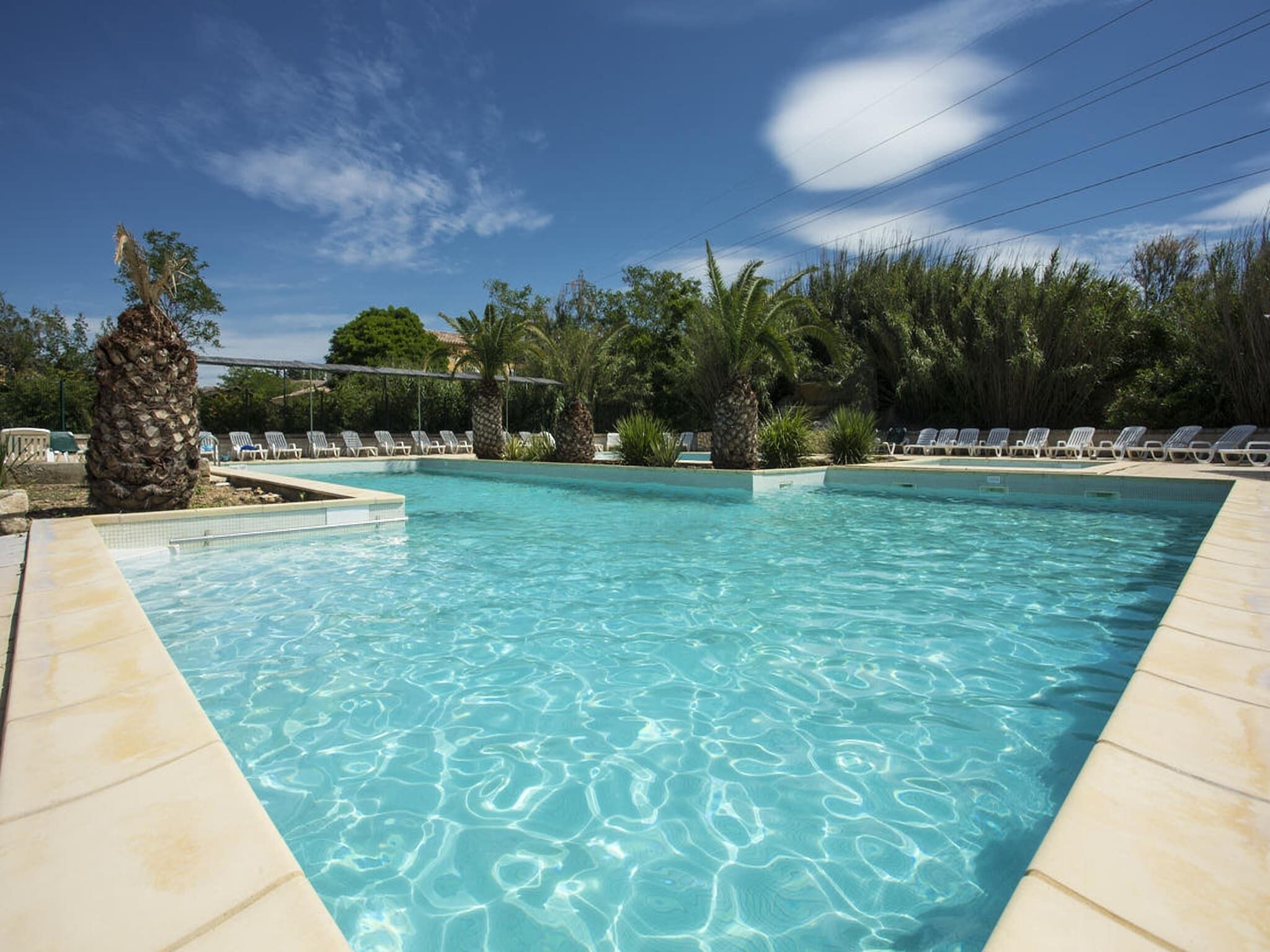 A rectangular swimming pool with clear blue water, surrounded by lounge chairs and palm trees.