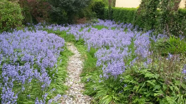 Stroll through a serene garden surrounded by lush greenery and vibrant flowers.