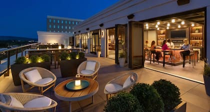 106 Jefferson Huntsville, Curio Collection by Hilton