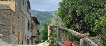 Rustic House in Reggello with Garden and Patio