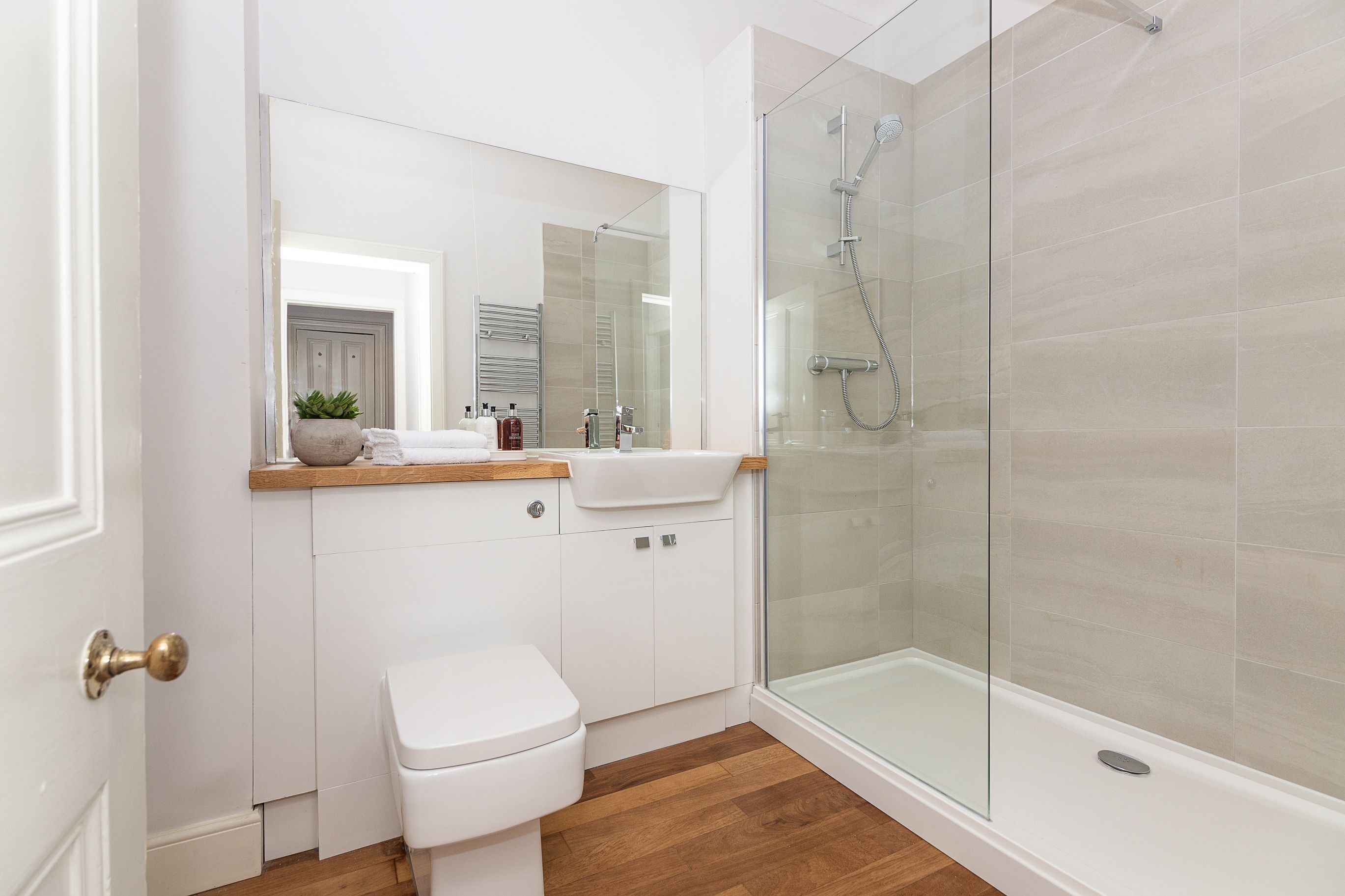 Shower, hair dryer
