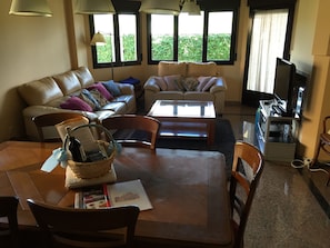 TV, pebolim, livros