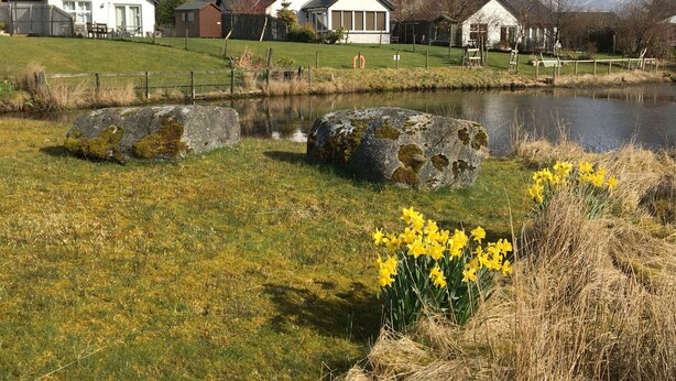 A rural setting with houses, a pond, and daffodils. - Blinkbonnie Cottage, a place of tranquillity & beauty in a country setting. (Wester Lix)
