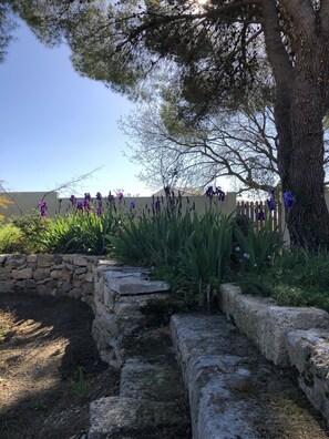 Details aan de buitenkant