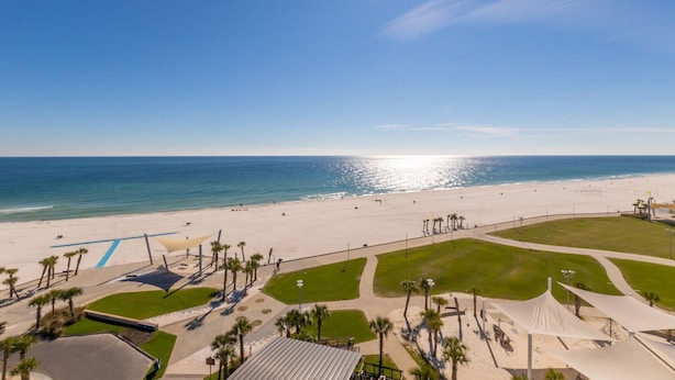 Rantalomakohde, jossa on hiekkaranta, palmuja ja kirkas sininen taivas.