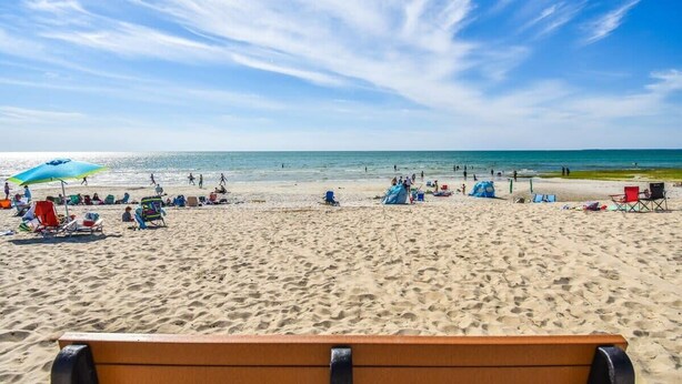 A beach with a wooden bench in the foreground, people relaxing, and beach umbrellas.
