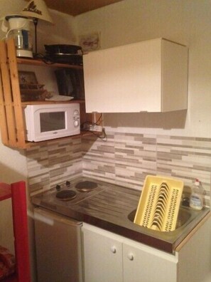 Fridge, microwave, dishwasher - Track Studio view facing south Corbier (Villarembert)