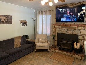 Smart TV, chimenea, reproductor de DVD y libros 