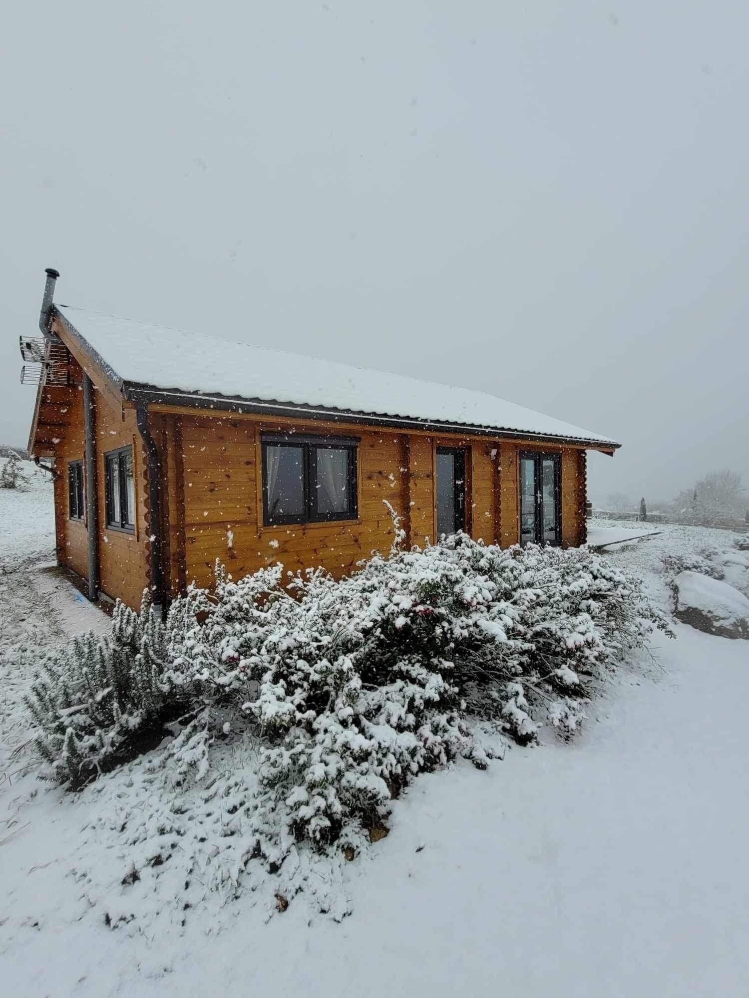 A wooden cabin with a snow-covered roof, surrounded by snow-laden bushes.