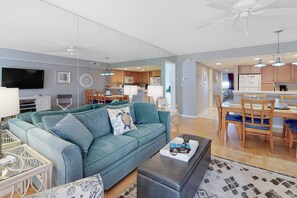 TV, DVD player, video library