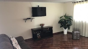 Een woonkamer met een flatscreen televisie aan de muur, een donkergrijze bank, een klein kastje met decoratieve objecten en een grote potplant.
