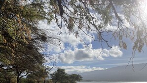 Una playa arenosa con huellas, una roca grande y algunos árboles dispersos.