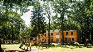 Un terrain de jeux avec des balançoires et des toboggans, entouré d’arbres et bordé d’un bâtiment doté de nombreuses fenêtres.