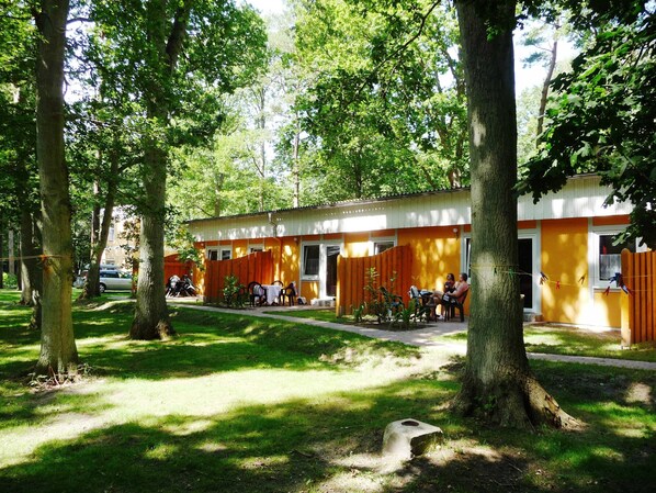 المنطقة المحيطة بالمنشأة