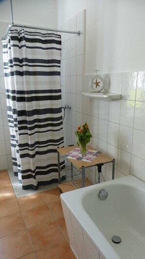 Shower, hair dryer, toilet paper